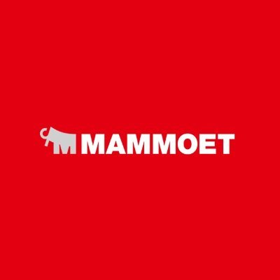 Providing heavy lifting and transport services for any challenge | Unparalleled fleet of equipment and cranes | We help the world to grow #mammoet