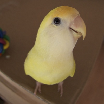 pnerum's profile picture. 