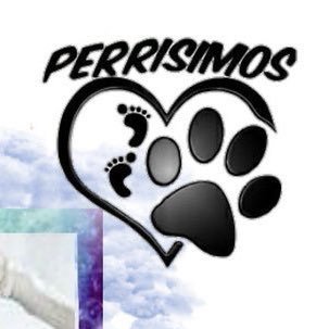 cuenta de apoyo 🐶🐾❤️👧🏻👦🏼 cuenta oficial del grupo @losperrisimos