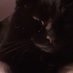 liz winn (@lwinn47) Twitter profile photo liz winn (@lwinn47) Twitter profile photo