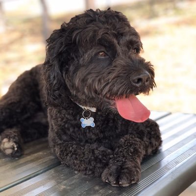 regina01898142's profile picture. 