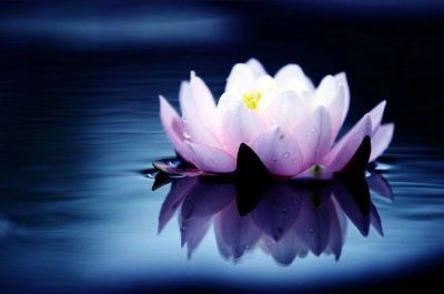 BruceJeme's profile picture. 