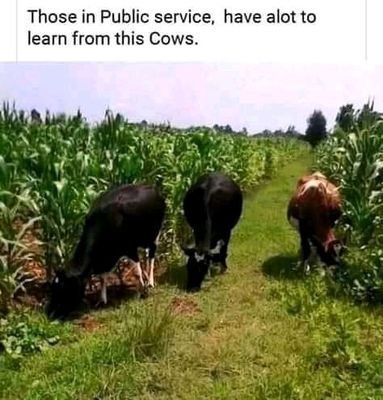 2020Deft's profile picture. soccer