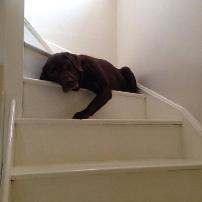 CarolineTarlin2's profile picture. Hard working passionate learning disability nurse