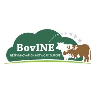 Focused on knowledge sharing within the European beef farming community.
Funding from EU H2020 rural renaissance programme. Project No: 862590