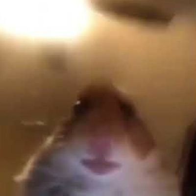 TheMindPlayer55's profile picture. nothing much