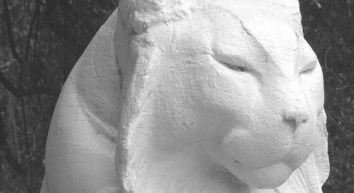 insidelg's profile picture. News, Forums, & Opinions.
For Los Gatos Residents.
By Los Gatos Residents.