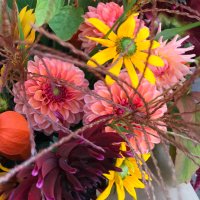 Cathy Marchant (@cathymarchant) 's Twitter Profile