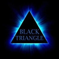 Black Triangle Records (@btrmanc) 's Twitter Profile