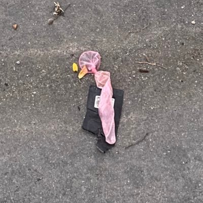 youngdrunkoncum's profile picture. 