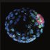 LluisLab 🏳️🌈 (@lab_lluis) Twitter profile photo LluisLab 🏳️🌈 (@lab_lluis) Twitter profile photo
