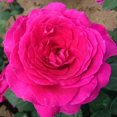 annna_twi's profile picture. コスメが好きです✨