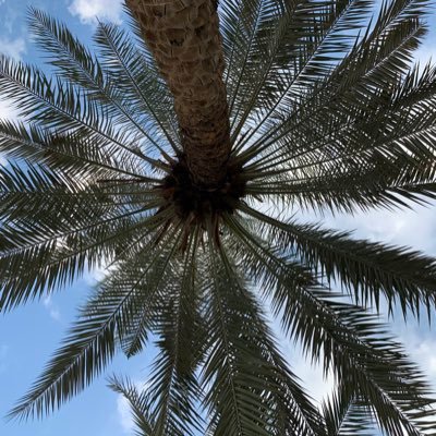 rexop12's profile picture. أبتسم .. ليس بالضروره فرحاً وإنما : ثقة وتفاؤلاً بـ أن الله لن يخيب ظنك الجميـل