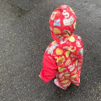 あゆみ (@miso1609) 's Twitter Profile