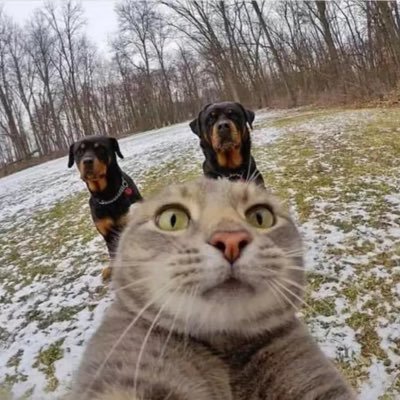 Vuejs3's profile picture. 1