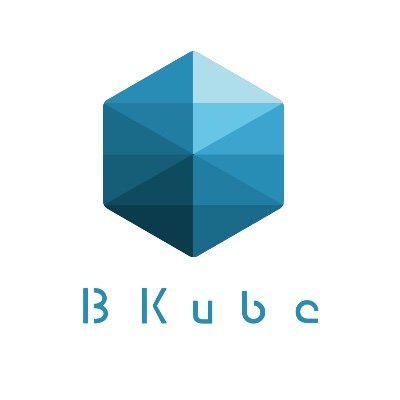 BKube, la boîte noire de vos Backup. Stockage et sécurisation des données professionnelles.