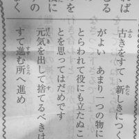 名無しのぶた (@maccho501) 's Twitter Profile