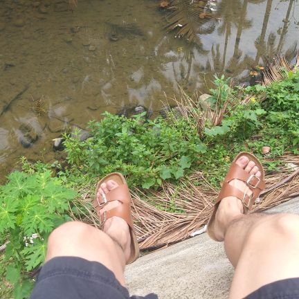 BagetsNew's profile picture. 