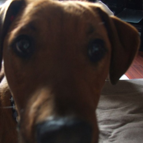 cabledave's profile picture. I'd Rather Beg Forgiveness Than Ask Permission!