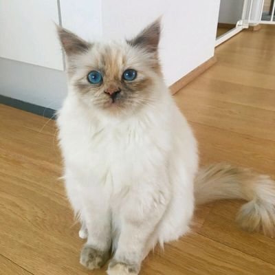 #takibetakip