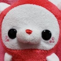 にゃる (@mit4guugwvgadfp) Twitter profile photo