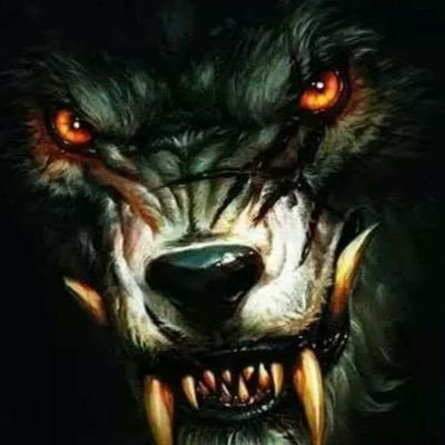Ali63254560's profile picture.