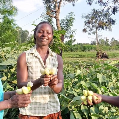 THAFAU is a community based organisation in Mbale district Uganda. its objective is to positively change the lives of the poor vulnerable women and children