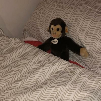 DP31974474's profile picture. 