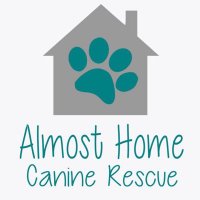 almost home canine rescue(@AlmostHomeSD) 's Twitter Profile Photo