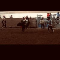 Trace Conard (@conard_trace) 's Twitter Profile
