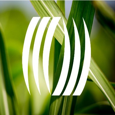 World-leading Miscanthus specialist