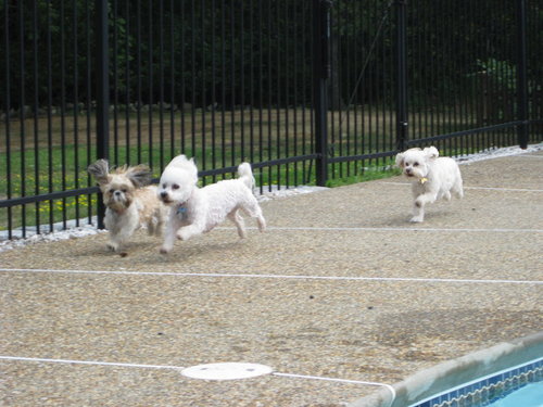 birdsongsfla's profile picture. Curious, passionate, warm-hearted, constantly learning, past my mid-life crisis (es)