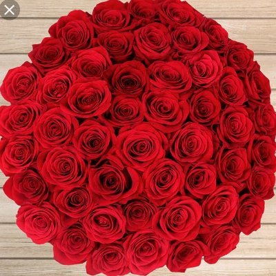 Amirhos14913444's profile picture. 