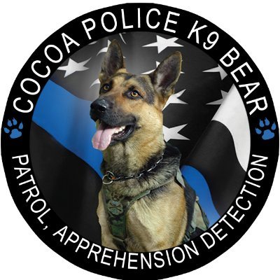 I am a German Shepherd police K9. I work for the Cocoa Police Department in Cocoa, FL. Catching bad guys is my specialty!