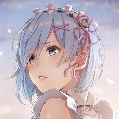 alex1231273's profile picture. 