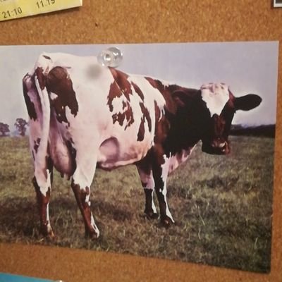 Ismasg_98's profile picture. 