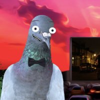 Pablo (the) Pigeon (@pablothepigeon) 's Twitter Profile Photo Pablo (the) Pigeon (@pablothepigeon) 's Twitter Profile Photo