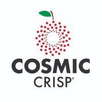 Cosmic Crisp® Apple(@thecosmiccrisp) 's Twitter Profileg