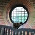 A Hampshire Gardener (@triggsgarden) Twitter profile photo A Hampshire Gardener (@triggsgarden) Twitter profile photo