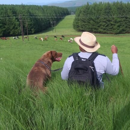 KayiseNonina's profile picture. Beef Producer, Farmer, Husband, Father of five, civil servant, son