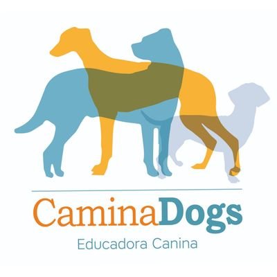Educadora Canina. Aprendiendo de los perros. Educando a los humanos.