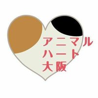 Silver /アニマルハート大阪 ❤里親募集中❤(@12to2y4) 's Twitter Profile Photo