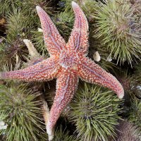 Huntsman Marine (@huntsmanmarine) 's Twitter Profile