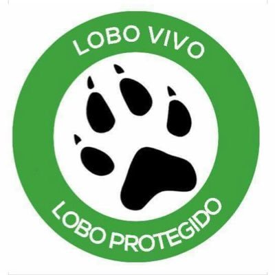 jjcicuendez's profile picture. 