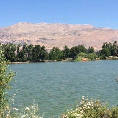 HabibMohsen2's profile picture. Leaders Funny Entertainment Sports Family Gaming Fashion Influencers Food & Drink Business News Books Music Television Government