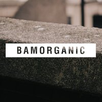 Bamorganic(@Bamorganic) 's Twitter Profile Photo