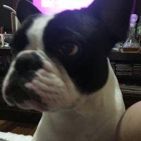 ritinha🇧🇷 (@ritinhaguima) 's Twitter Profile Photo ritinha🇧🇷 (@ritinhaguima) 's Twitter Profile Photo