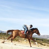David Farlete (@davidfarlete) 's Twitter Profile