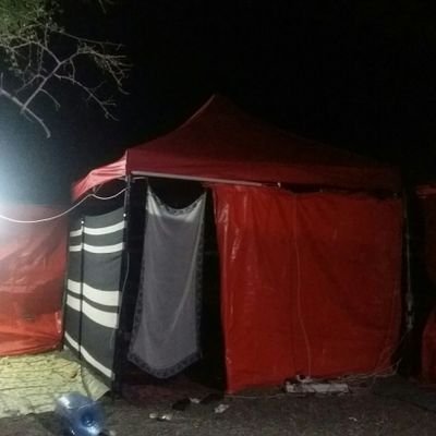 الوطن تاج راسي