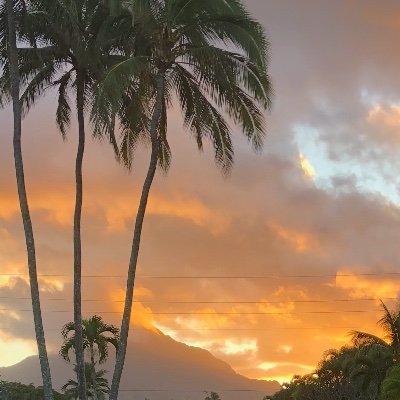 greggehlen's profile picture. 